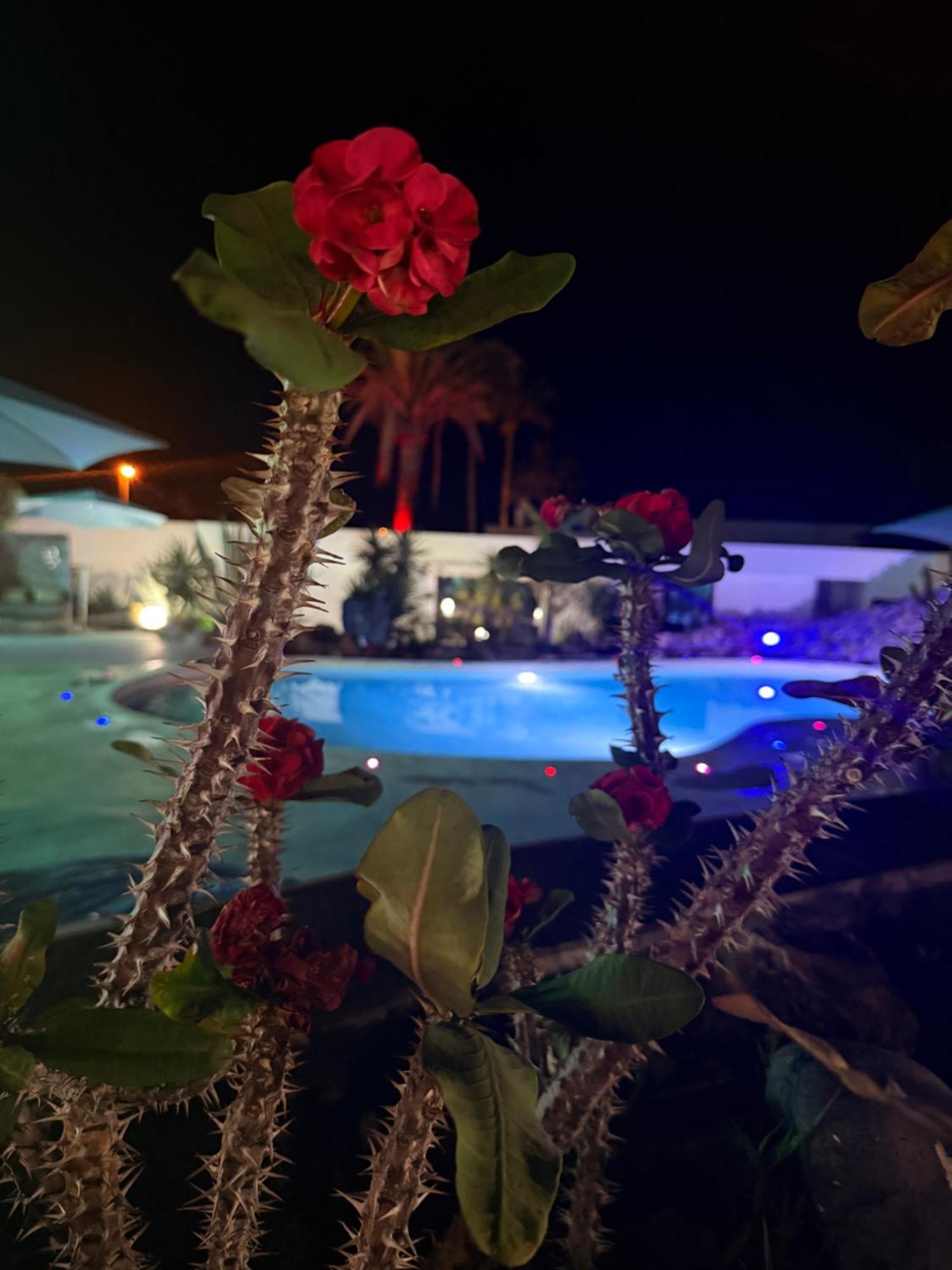 פלאיה פראיסו Paraiso Villas מראה חיצוני תמונה